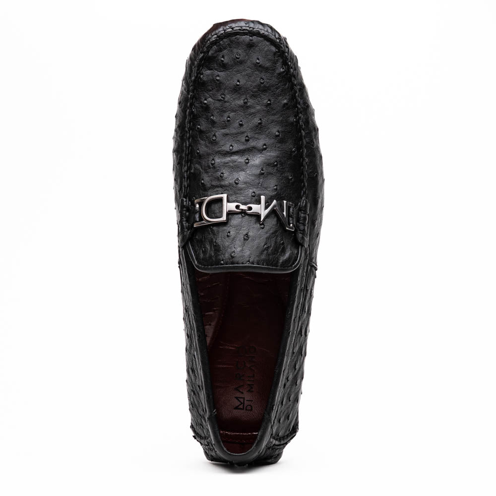Bolonia Black