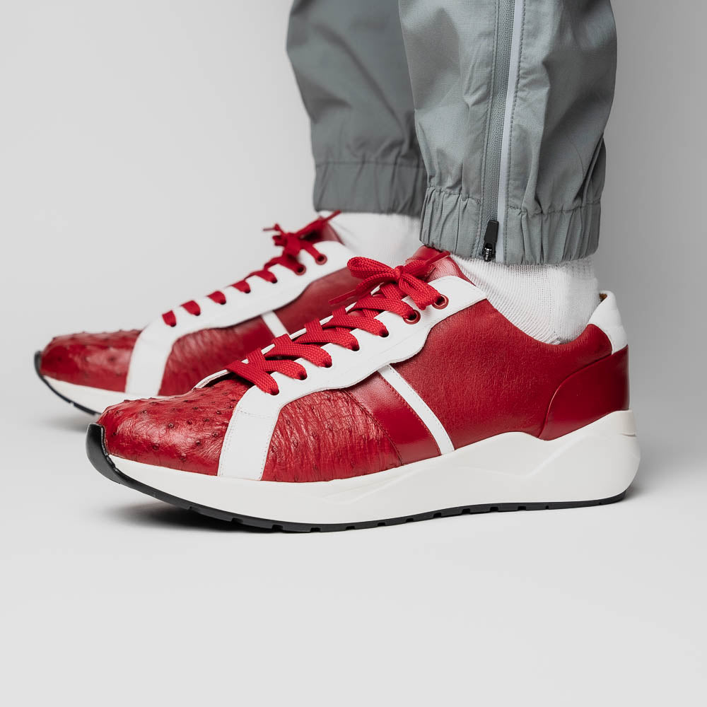 Lyon II Red / White
